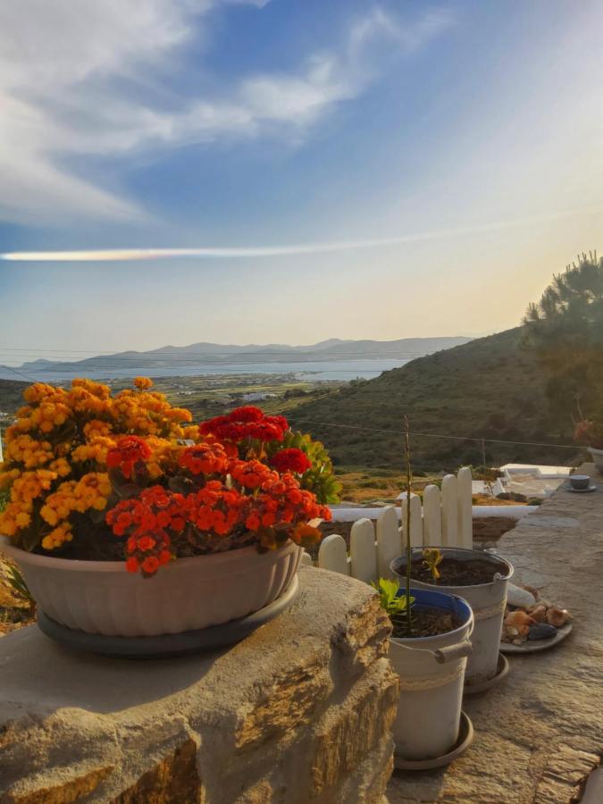 Romantic Sunset Cycladic House In Sotires Moni Christou Dasous Exterior photo