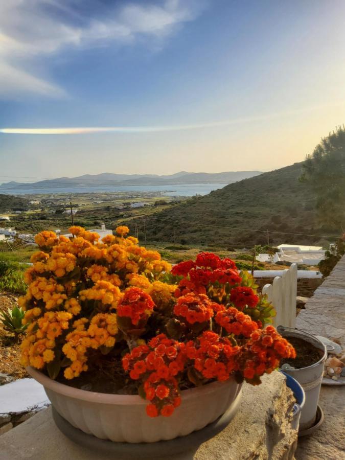 Romantic Sunset Cycladic House In Sotires Moni Christou Dasous Exterior photo